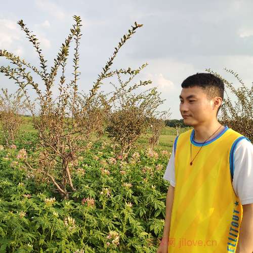 37岁岁广东单身帅哥 - 克孜勒苏柯尔克孜吉缘网